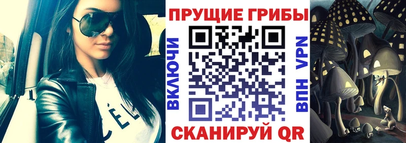 Псилоцибиновые грибы GOLDEN TEACHER omg маркетплейс Енисейск
